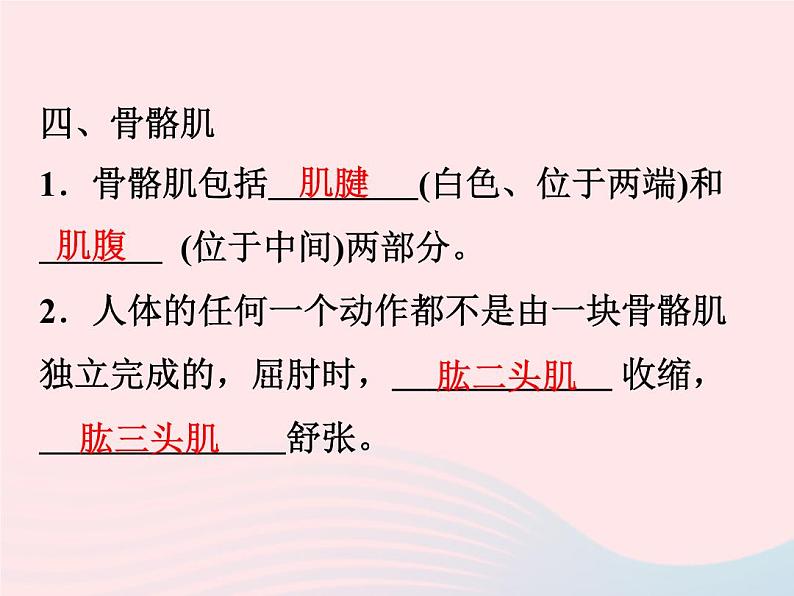 2021—2022学年新版浙教版九年级科学下册第3章人的降3.5人的运动系统和保健作业课件新版浙教版第5页
