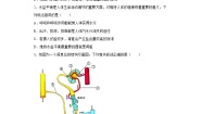 初中科学浙教版九年级上册第4章 代谢与平衡综合与测试一课一练