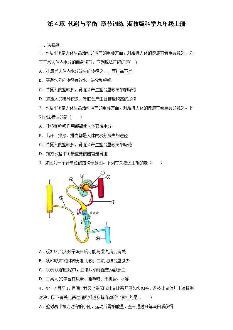 初中科学第4章 代谢与平衡 章节训练第1页