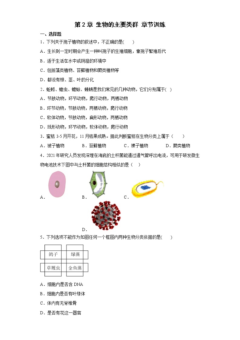 初中科学 七年级上册 第2章 生物的主要类群 章节训练01