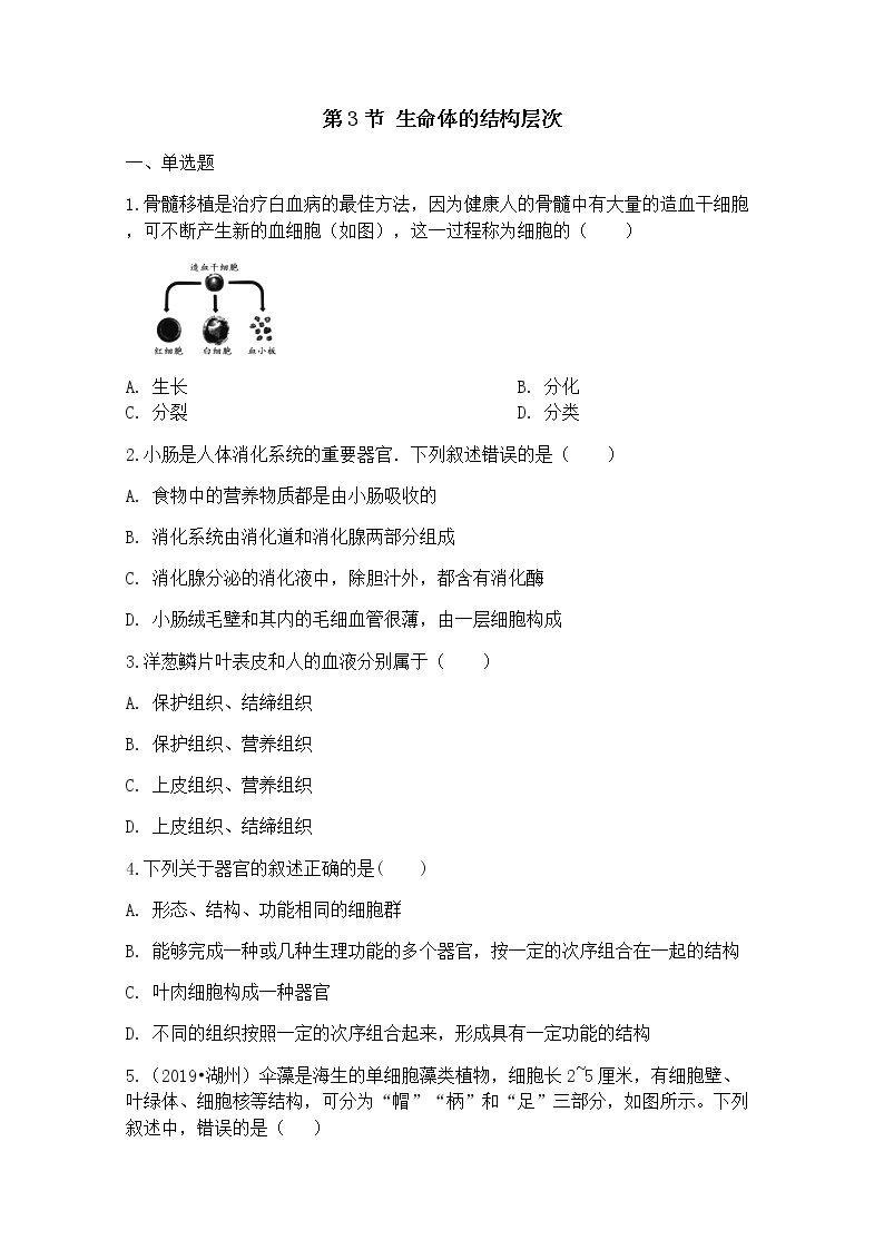 浙教版科学7年级上册 第2章 第3节  生物体的结构层次 PPT课件+教案+习题01