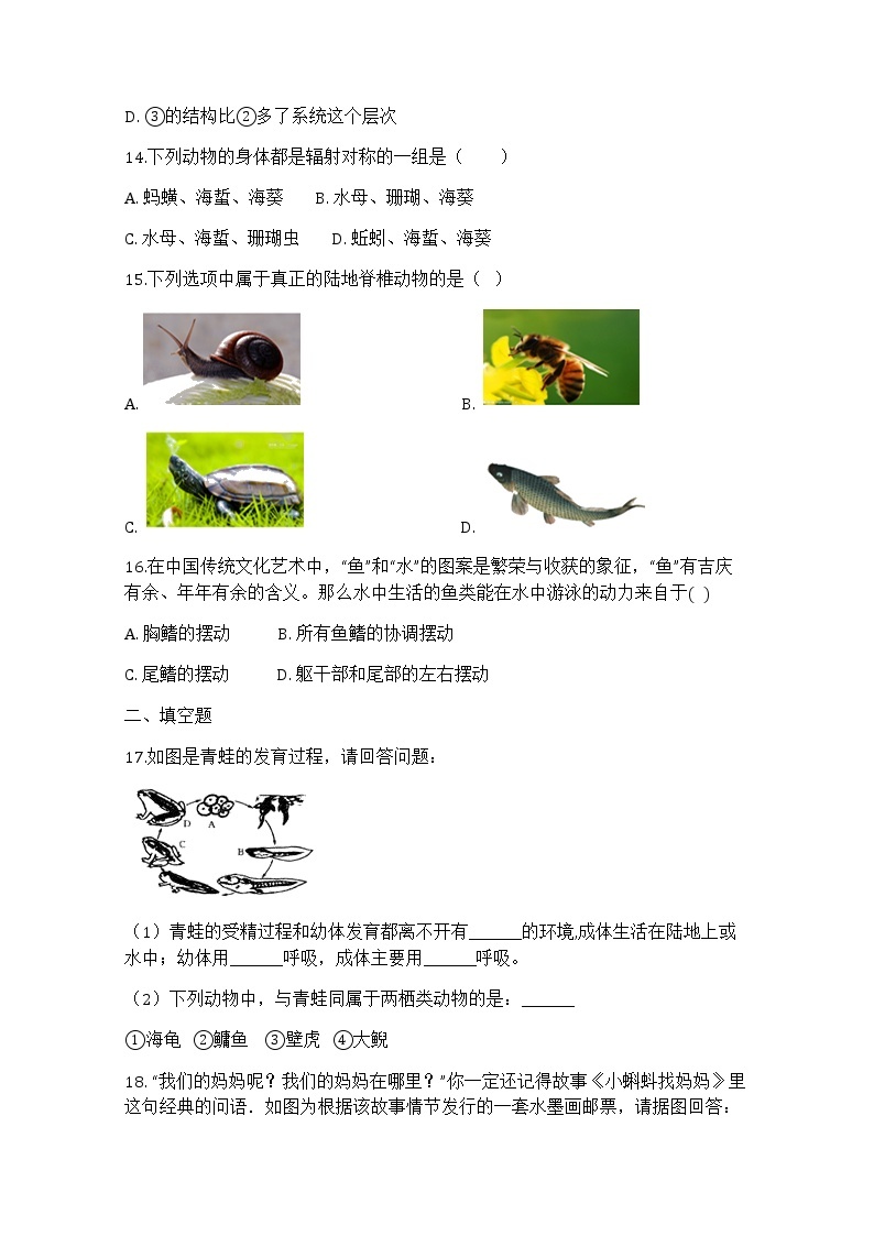 浙教版科学7年级上册 第2章 第4节  常见的动物 PPT课件+教案+习题03