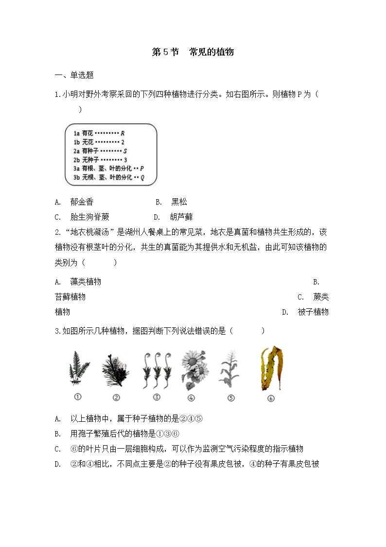 浙教版科学7年级上册 第2章 第5节  常见的植物 PPT课件+教案+习题01