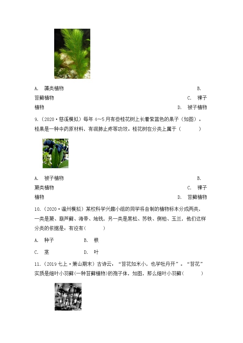 浙教版科学7年级上册 第2章 第5节  常见的植物 PPT课件+教案+习题03