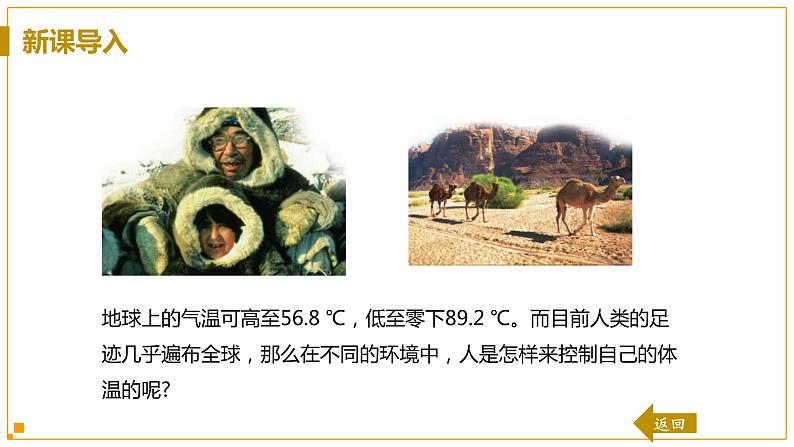 浙教版科学8年级上册 第3章 第5节 体温的控制 PPT课件+教案+习题04