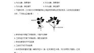 科学八年级上册第3章 生命活动的调节综合与测试复习练习题