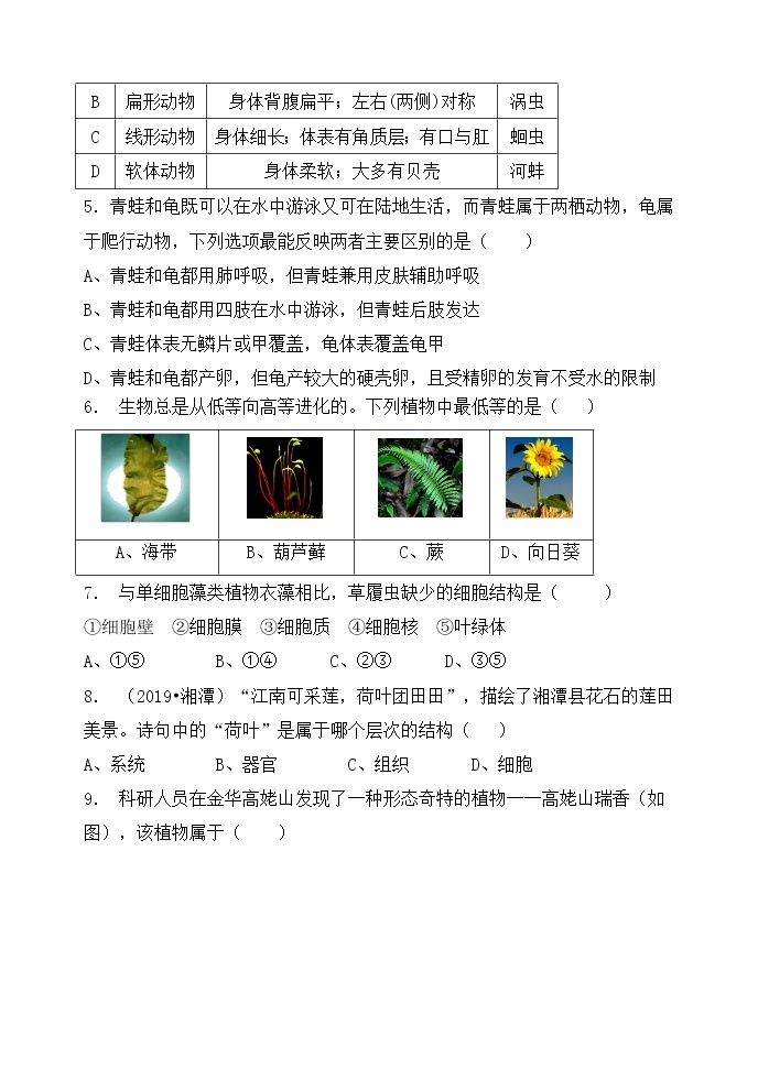 浙教版科学7年级上册 第2章   观察生物 章末测试卷02