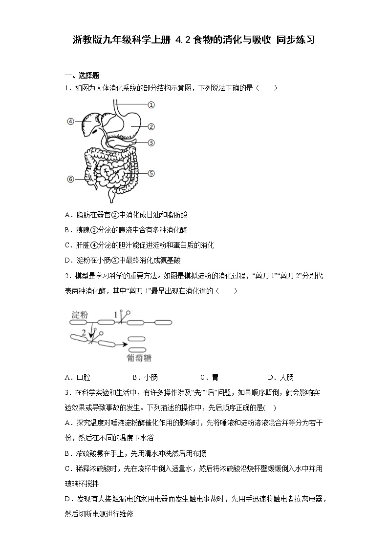 浙教版九年级上册第2节 食物的消化与吸收综合训练题