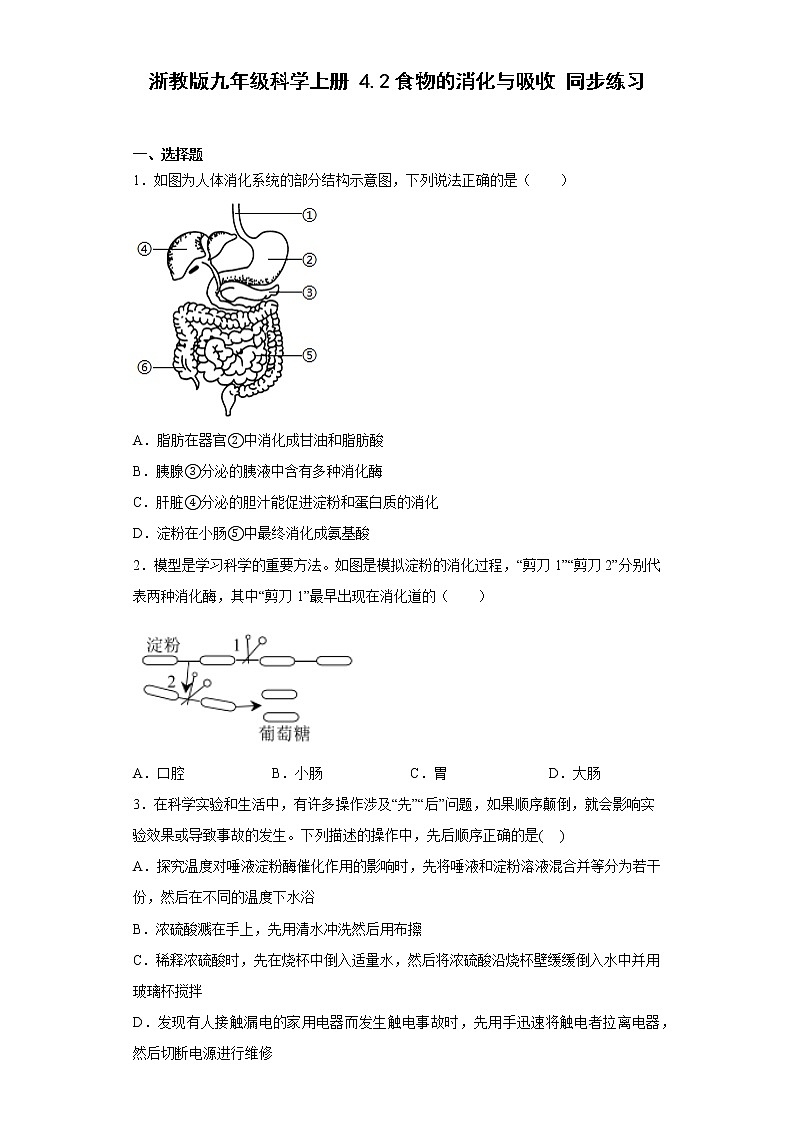 初中科学浙教版九年级上册第四章第二节食物的消化与吸收 同步练习(含答案)第1页