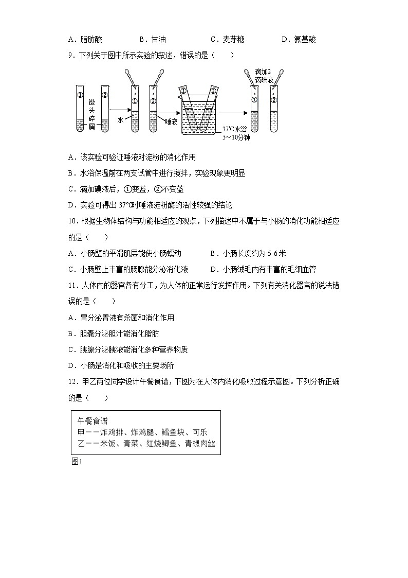 初中科学浙教版九年级上册第四章第二节食物的消化与吸收 同步练习(含答案)第3页
