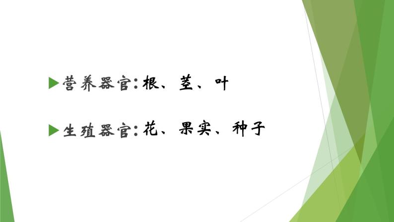 华中师大版八上科学 4.1绿色开花植物的营养器官 课件02
