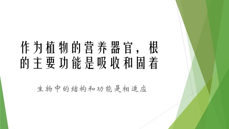 华中师大版八上科学 4.1绿色开花植物的营养器官 课件08