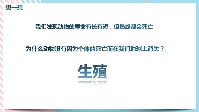 1.3.2动物的生长时期 第二课时 课件第2页