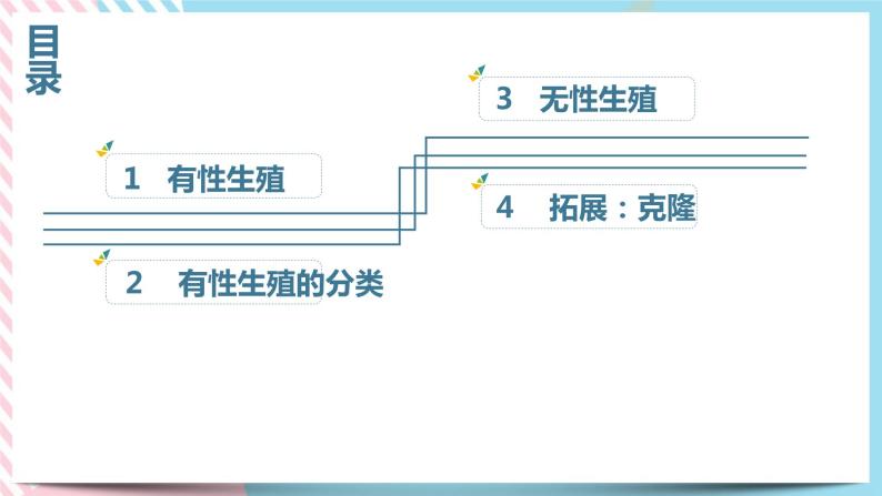 1.3.2动物的生长时期 第二课时 课件03