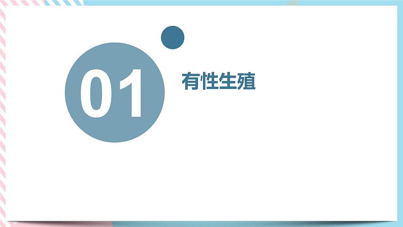 1.3.2动物的生长时期 第二课时 课件第4页