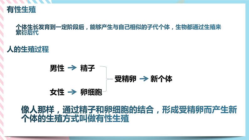1.3.2动物的生长时期 第二课时 课件第5页
