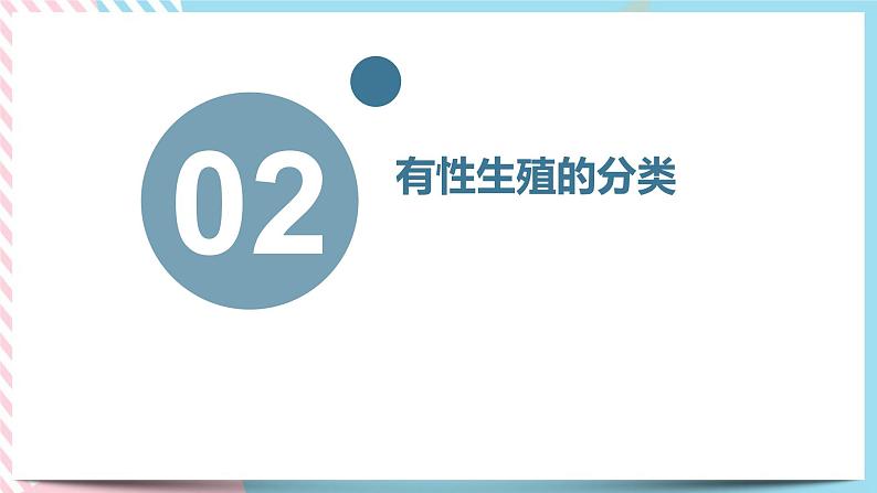 1.3.2动物的生长时期 第二课时 课件第7页