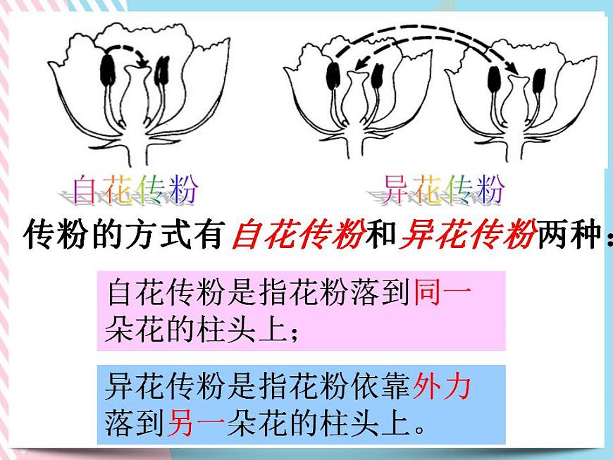 1.5植物生殖方式的多樣性第1課時第5頁