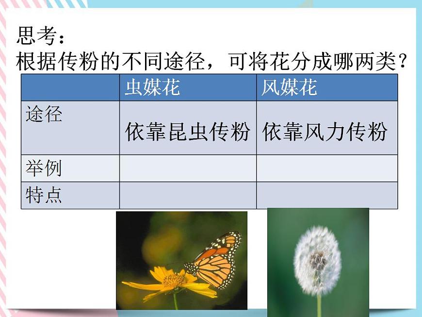 1.5植物生殖方式的多樣性第1課時第8頁