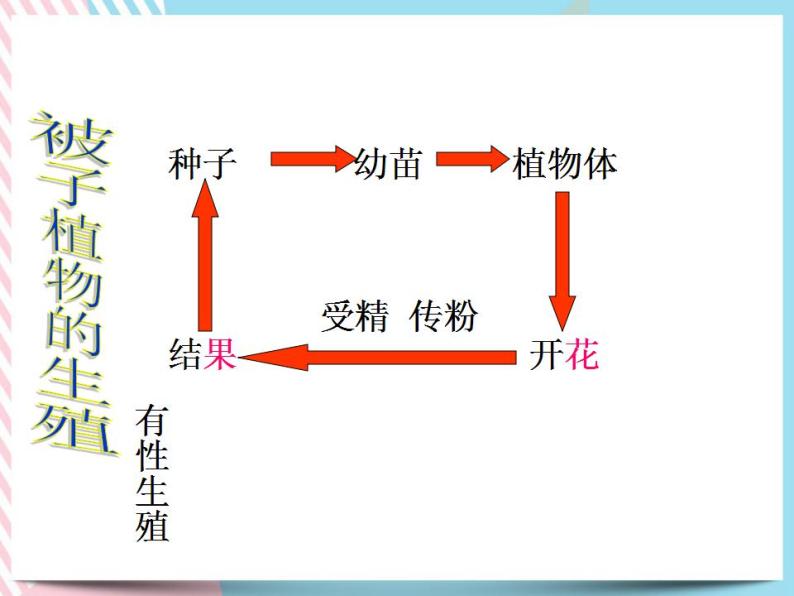 1.5植物生殖方式的多样性（2课时）课件+视频02