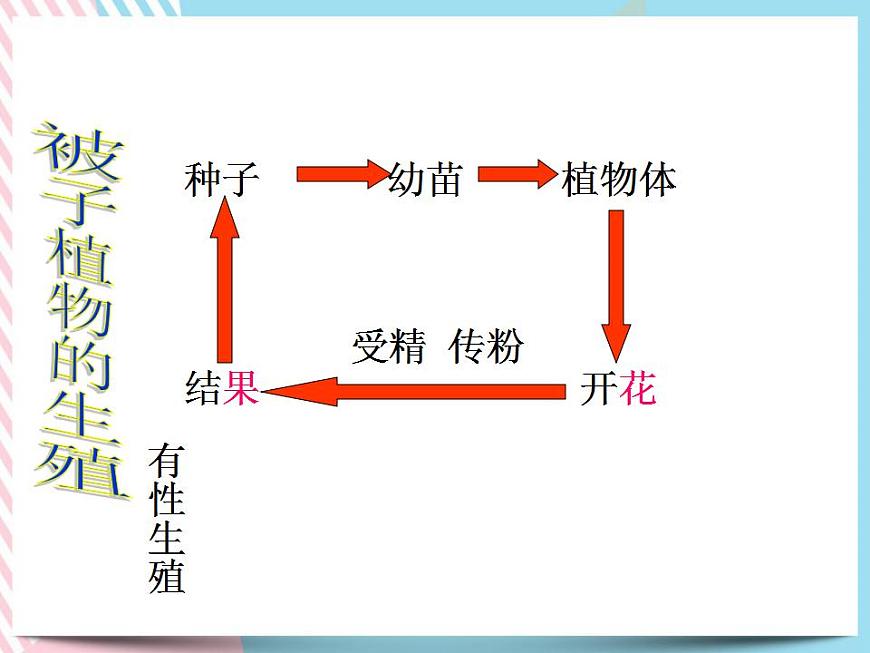 1.5植物生殖方式的多樣性第2課時第2頁