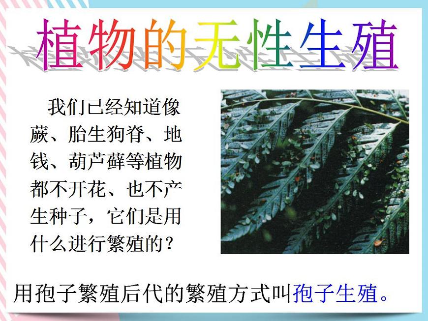 1.5植物生殖方式的多樣性第2課時第4頁