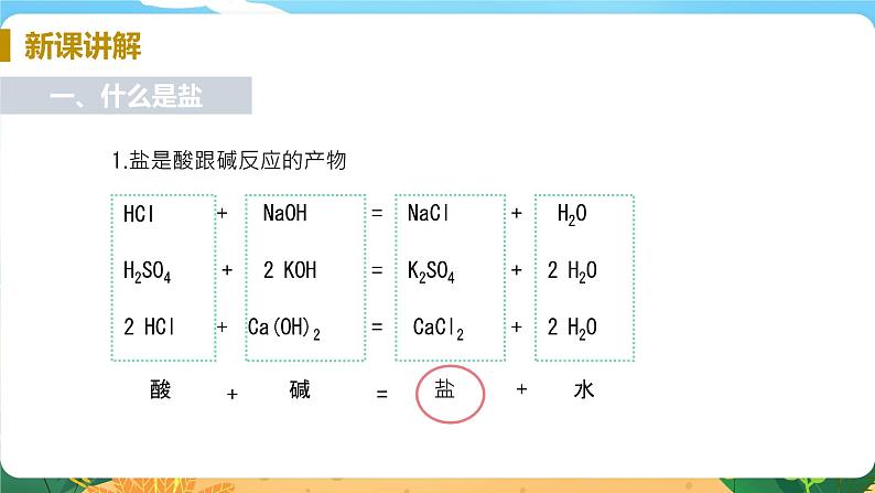 九科浙上 第1章 第6节 几种重要的盐 PPT课件+教案+预习作业+补充作业05