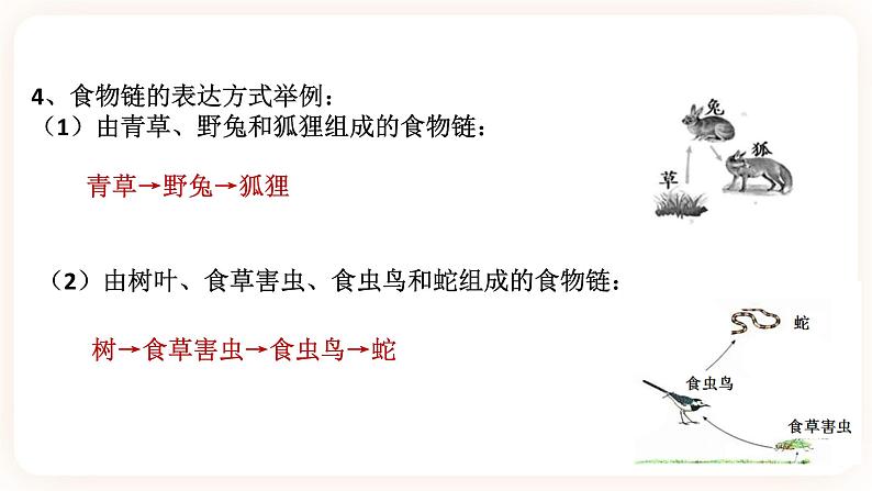 5.2生态系统 第3课时(课件+预学案+练习)06
