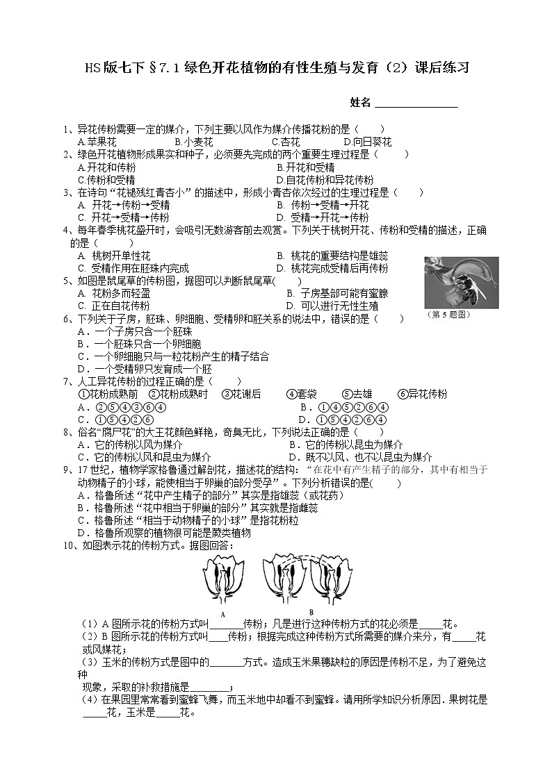 HS版七下7.1绿色开花植物的有性生殖与发育(2)课后小练第1页