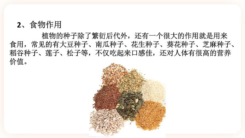 HS版七下7.2种子的萌发和幼苗的形成(1)第4页