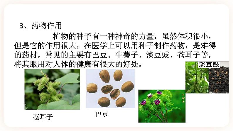 HS版七下7.2种子的萌发和幼苗的形成(1)第5页