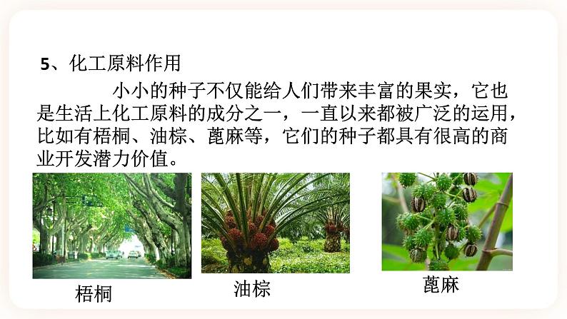 HS版七下7.2种子的萌发和幼苗的形成(1)第7页