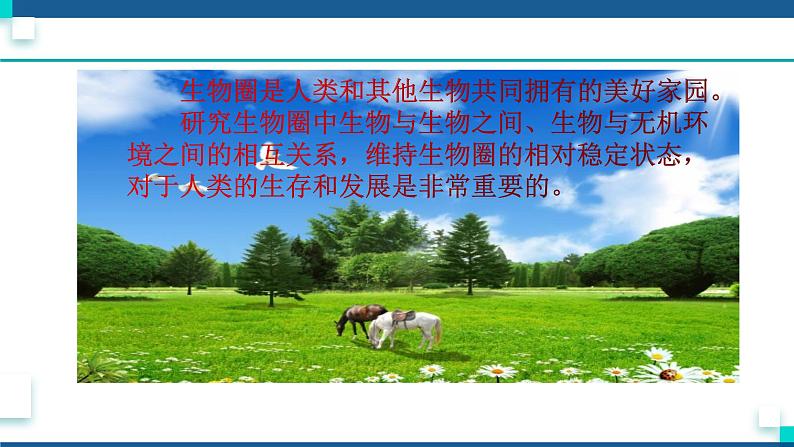 浙教版九下科学 2.1生物与环境的相互关系(课件+预习案+练习+视频)02
