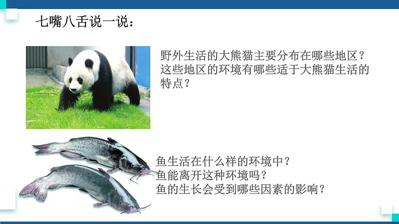 浙教版九下科学 2.1生物与环境的相互关系(课件+预习案+练习+视频)03