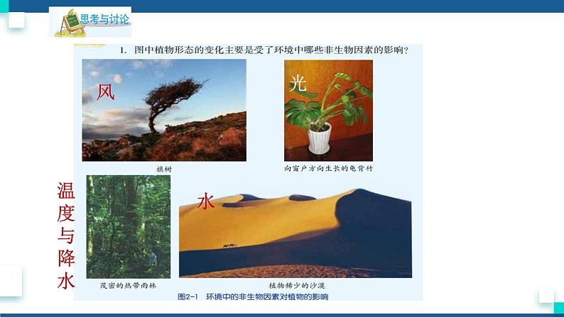 浙教版九下科学 2.1生物与环境的相互关系(课件+预习案+练习+视频)06