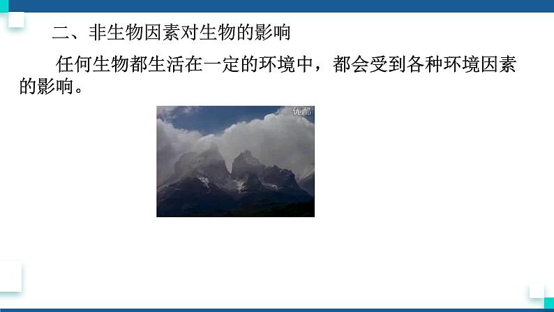 浙教版九下科学 2.1生物与环境的相互关系(课件+预习案+练习+视频)07