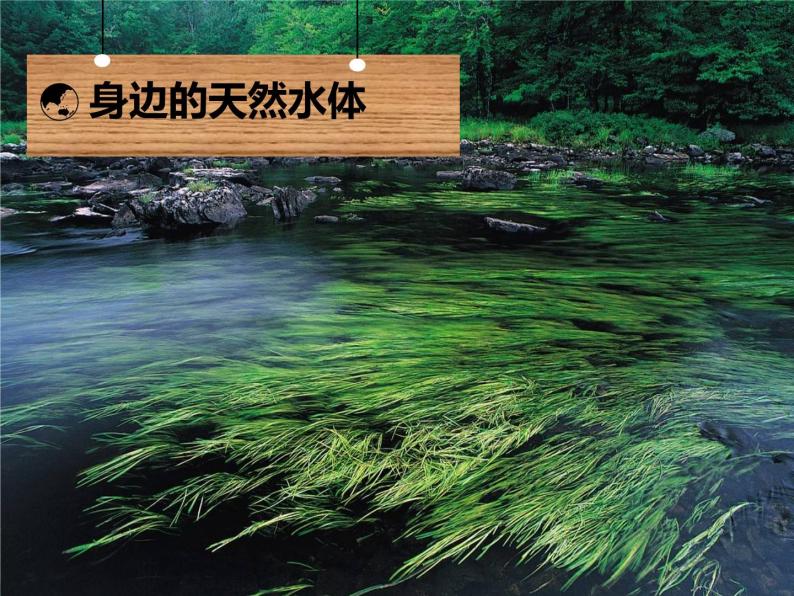 天然水中的杂质-初中科学  牛津上海版  六年级下册课件05