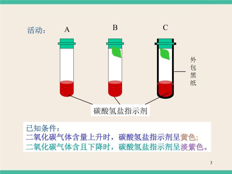 7.4.3植物的呼吸 -初中科学  牛津上海版  六年级下册课件03