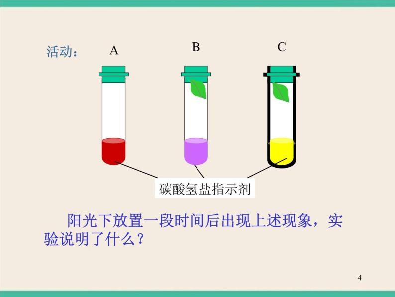 7.4.3植物的呼吸 -初中科学  牛津上海版  六年级下册课件04