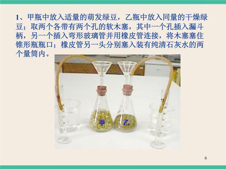 7.4.3植物的呼吸 -初中科学  牛津上海版  六年级下册课件06