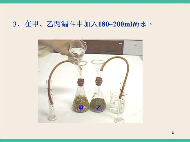 7.4.3植物的呼吸 -初中科学  牛津上海版  六年级下册课件08