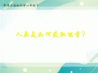 人類如何獲取能量 -初中科學(xué)  牛津上海版  六年級(jí)下冊(cè)（課件+素材）