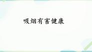 初中科学牛津上海版六年级下册第7章 	空气与生命空气污染对健康的影响吸烟对健康的影响优秀课件ppt