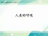 第7章 空气与生命  动植物与大气间的气体交换  人类的呼吸-初中科学  牛津上海版  六年级下册课件