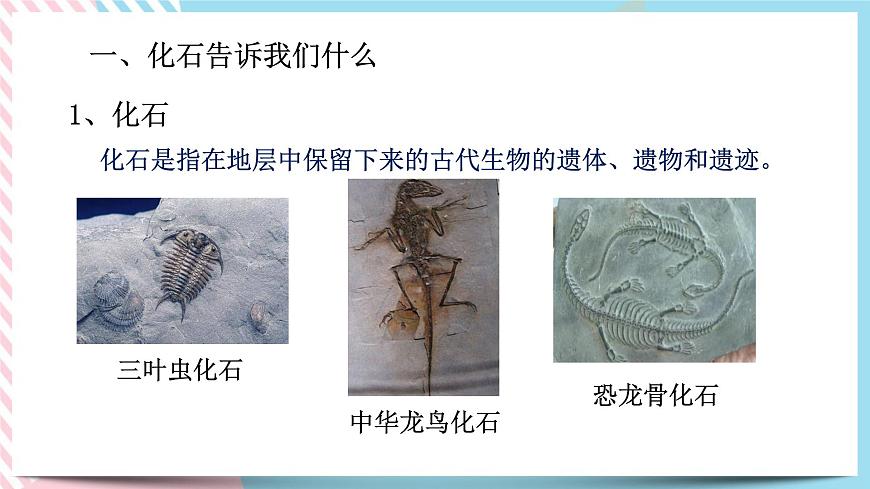 ZJ版九下1.4生物的進化（1）第3頁