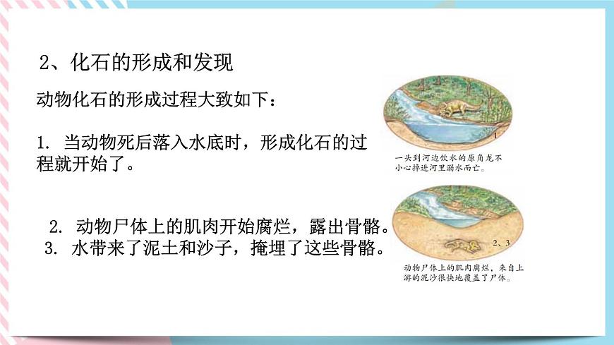 ZJ版九下1.4生物的進化（1）第5頁