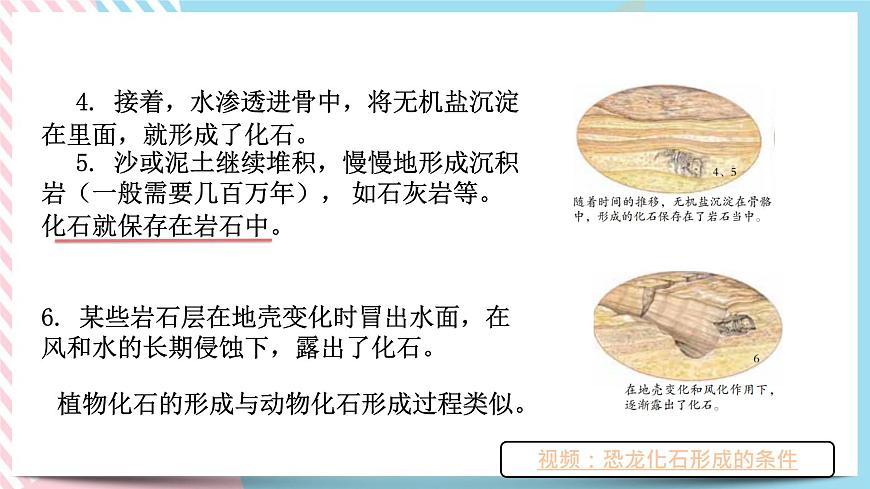 ZJ版九下1.4生物的進化（1）第6頁