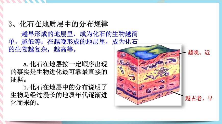 ZJ版九下1.4生物的進化（1）第7頁