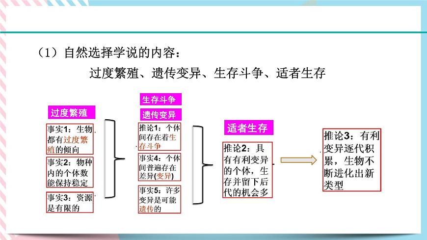 ZJ版九下1.4生物的進化（2）第7頁