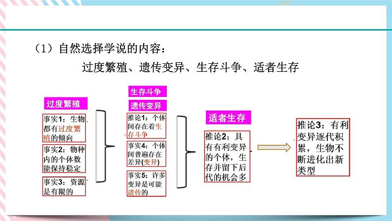 ZJ版九下科学1.4生物的进化 第2课时(课件+预习案+练习)07